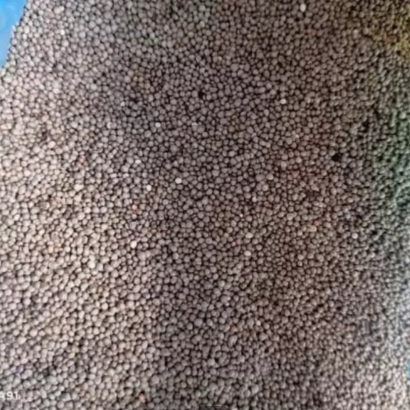 500g hạt vừng tròn