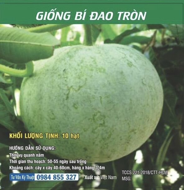 Giống Bí đao tròn