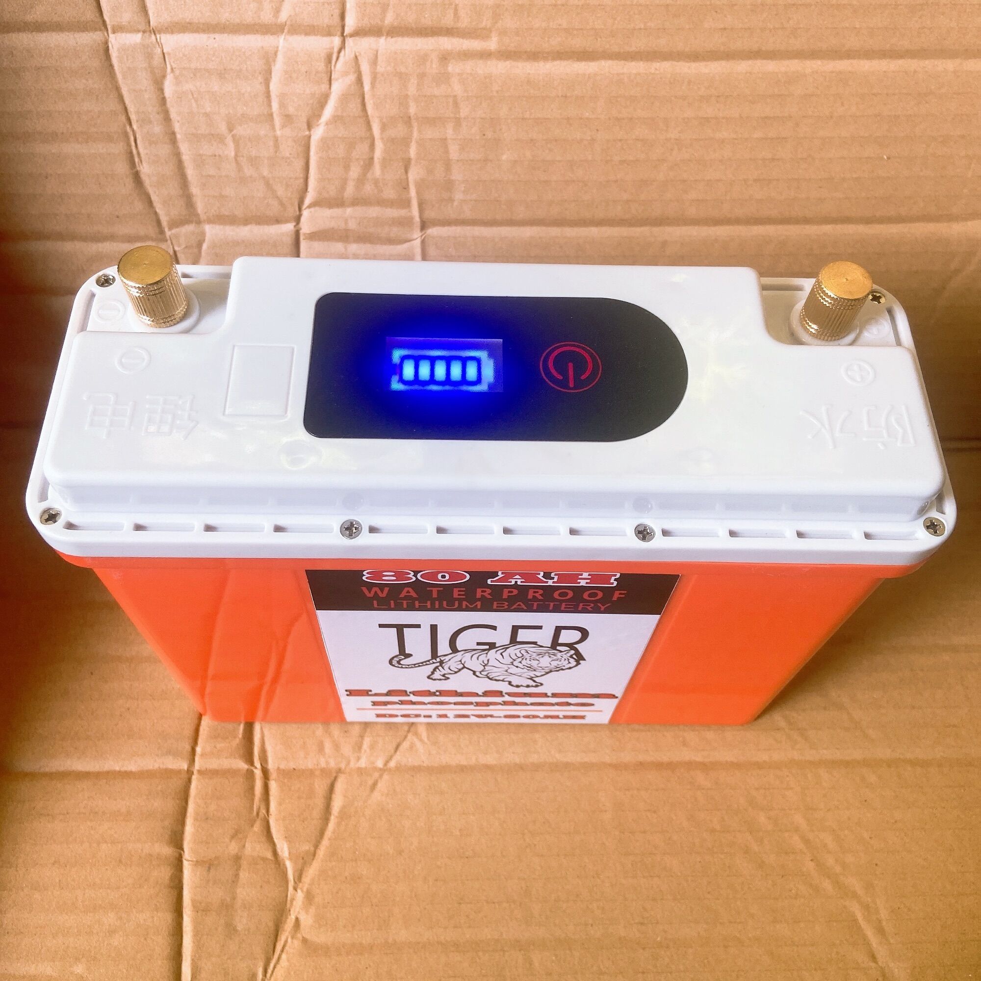 Bình pin lithium chống nước 12V - 80Ah TIGER