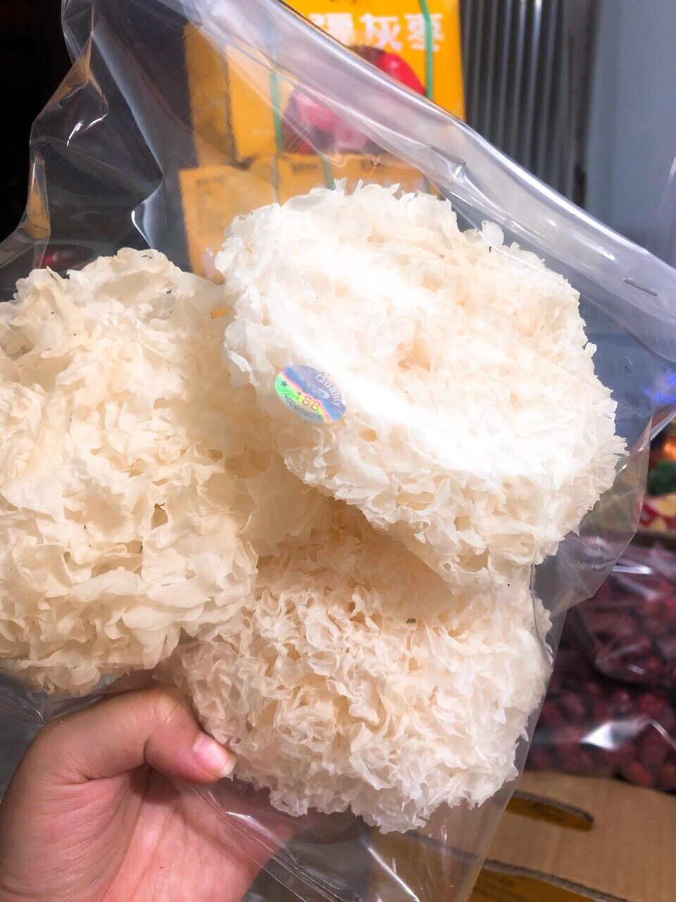 Nấm Tuyết