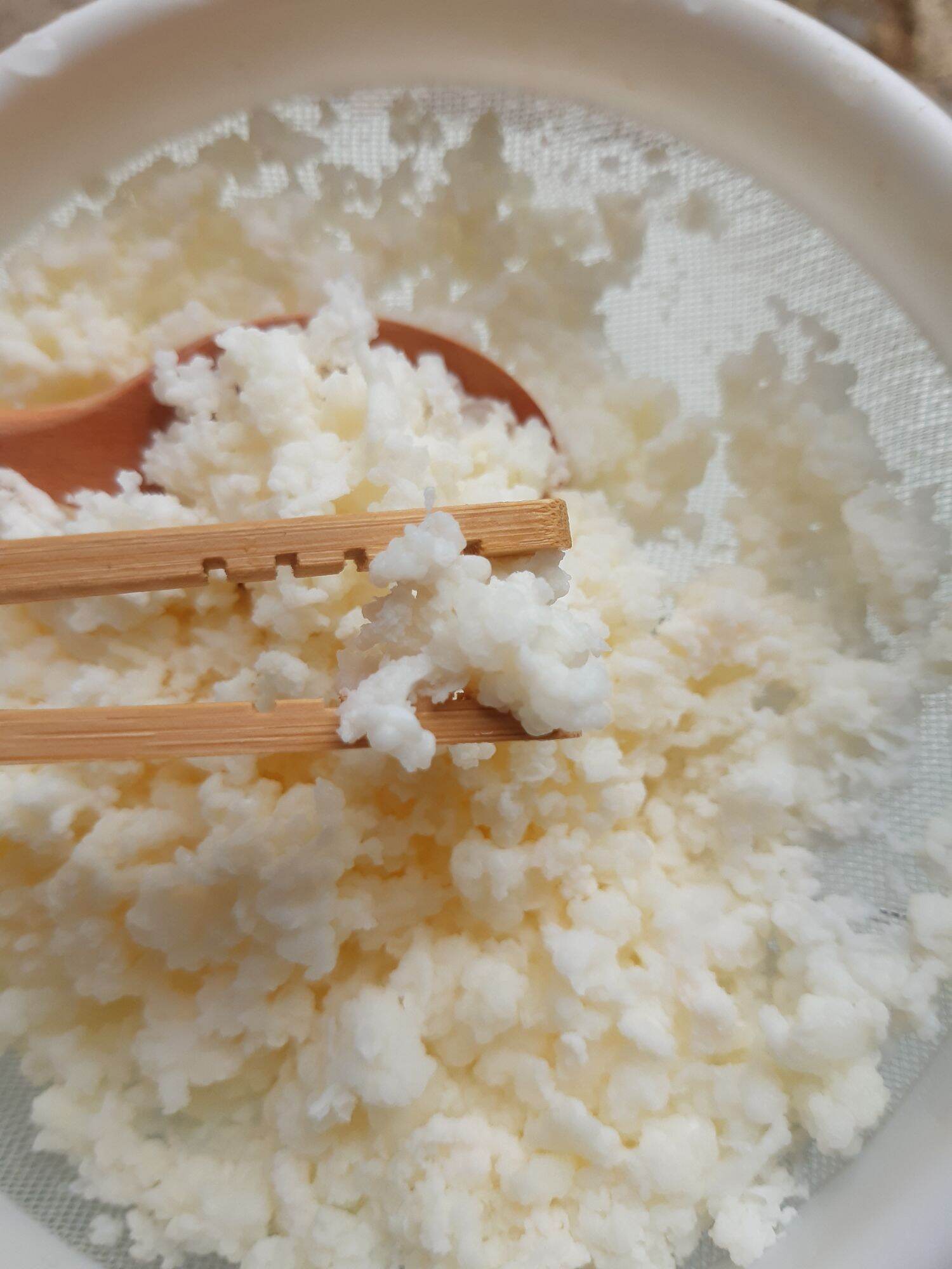 Nấm làm sữa chua Kefir Milk,con giống làm sữa chua tự nhiên