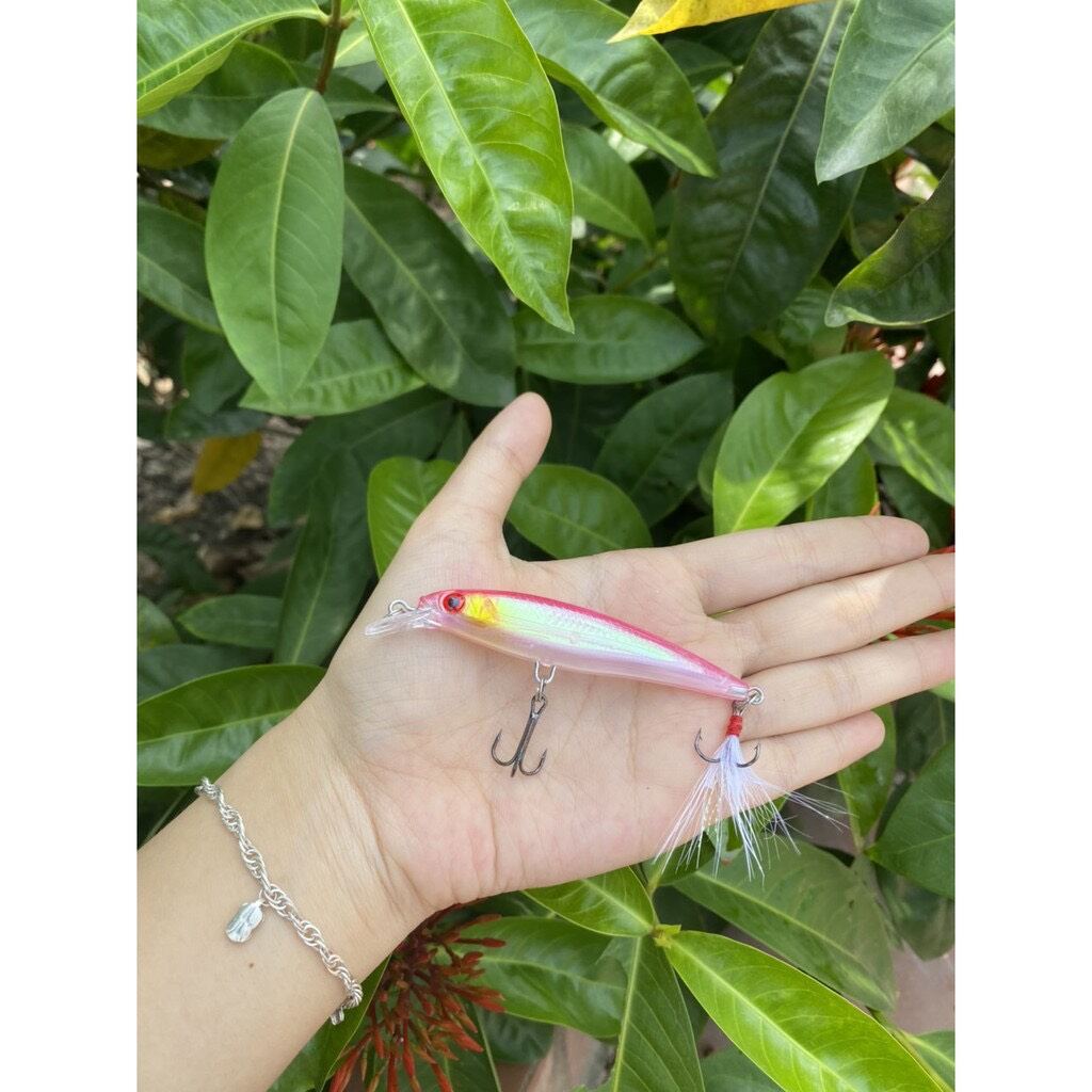 Mồi câu cá chẽm Cá Mú Cá Ngão