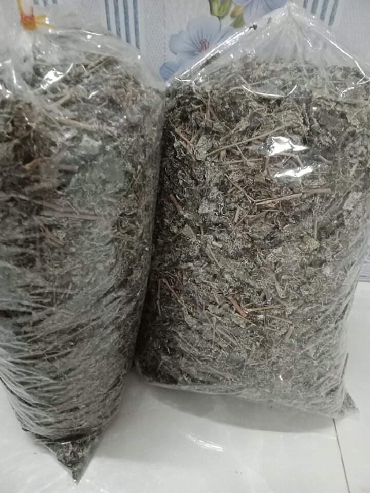 Chè dây Sìn Hồ