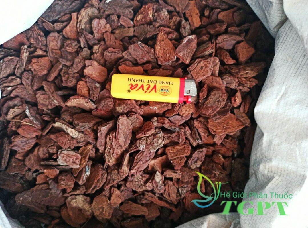 Vỏ Thông Xay Bo Size 2-3cm Túi 1Kg