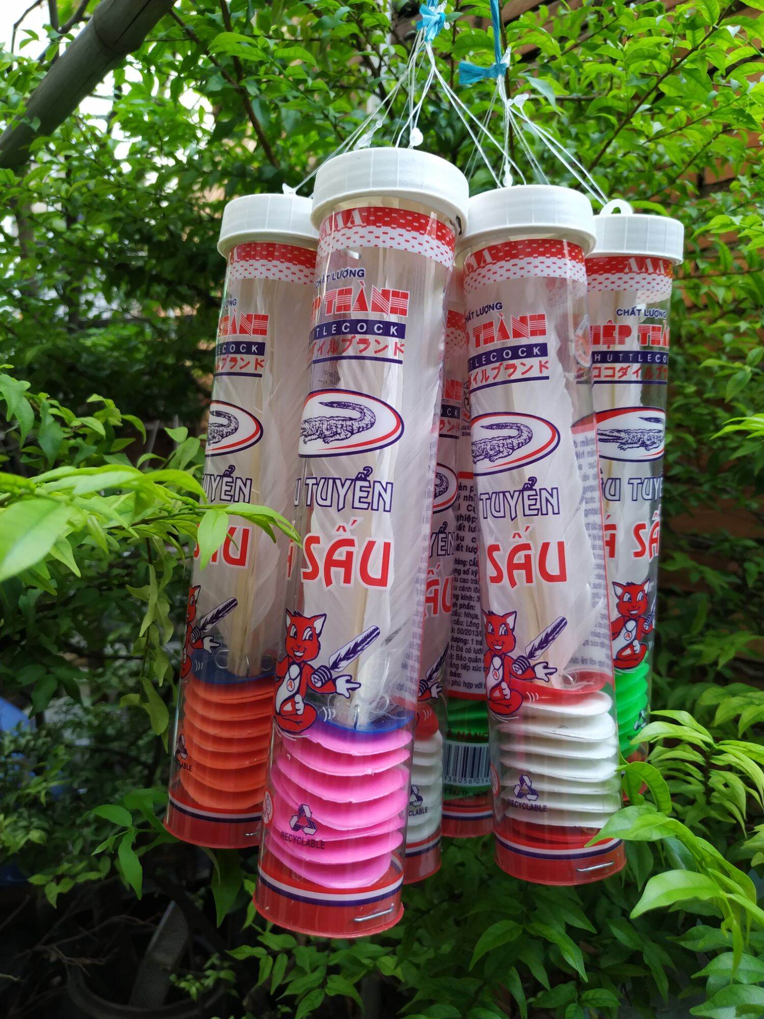 Cầu Đá Cá Sấu Sét 1 Trái (Cơ Sở Liên Hiệp Thành )