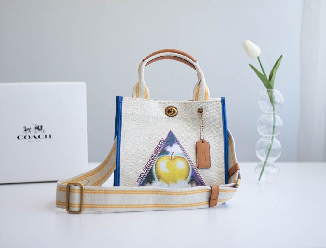 🍀Túi Coach Canvas 🍀