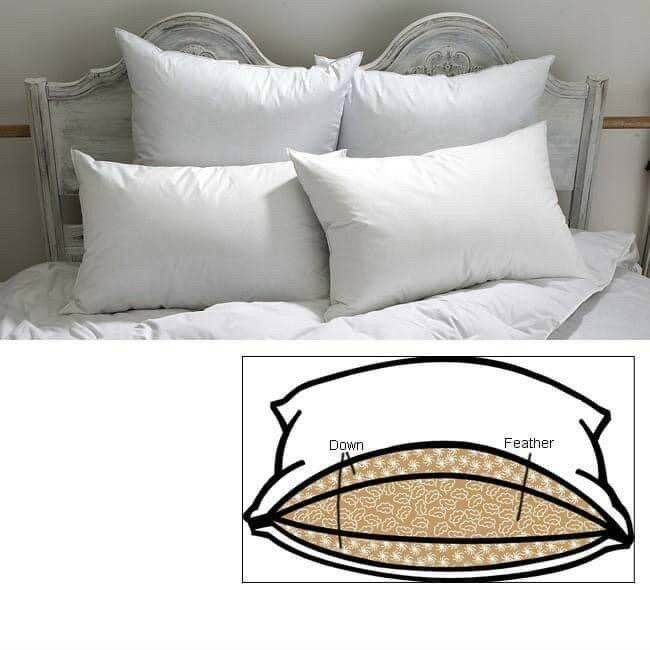 Ruột Gối Nằm 40*60