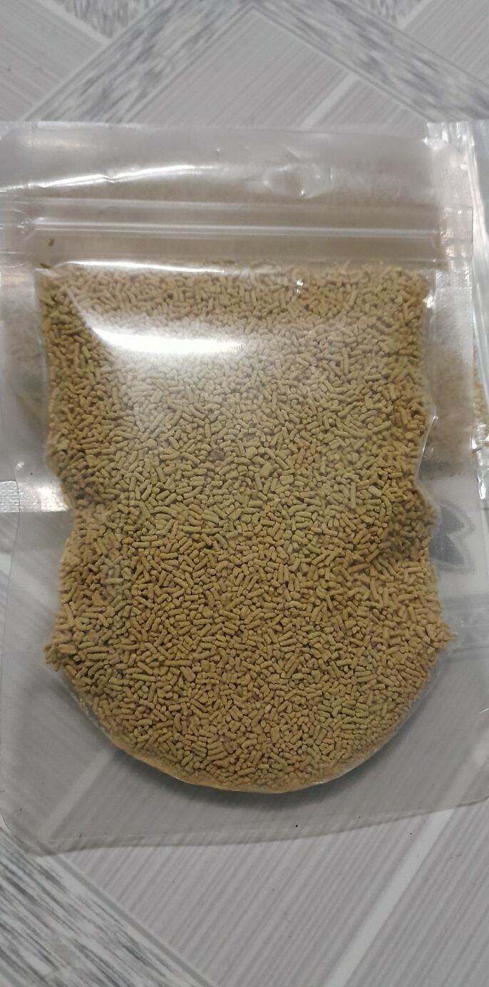 combo 3 bịch cám chim hút mật và ốc mít