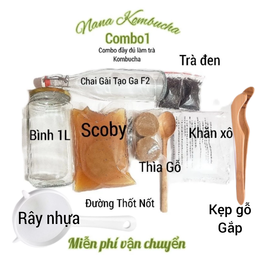 Combo scoby/kombucha đầy đủ kèm nước mồi cho người mới nuôi hũ 1l