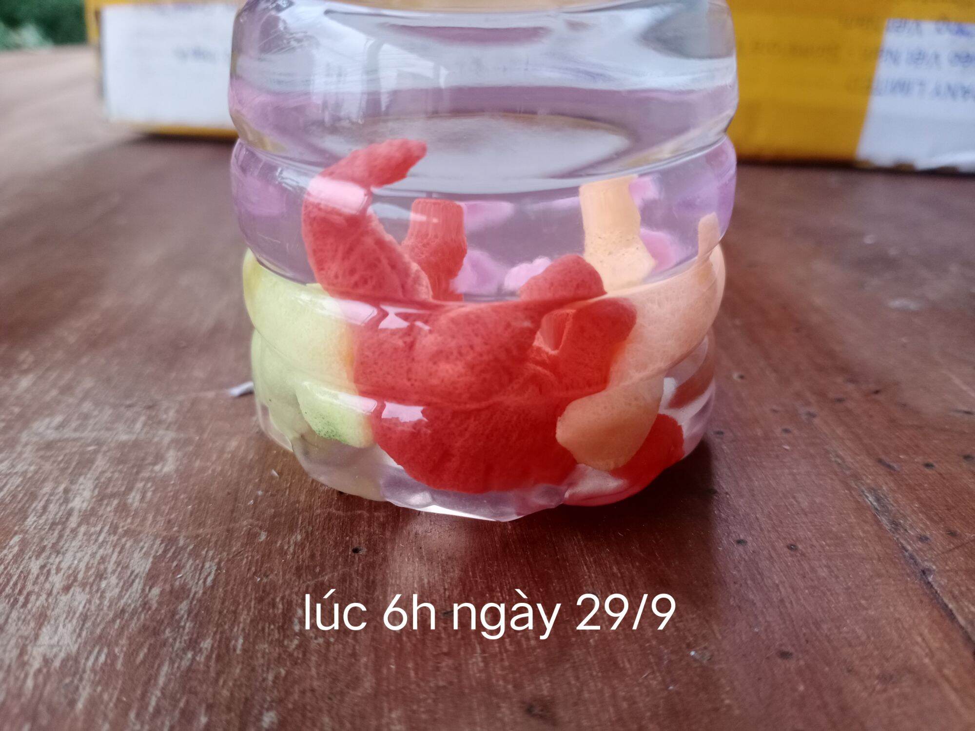 Sét 3 trứng khủng long tự nở trong nước