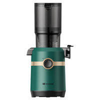 Pulp Separation Automatic Slow Juicer Large Feeding Mouth