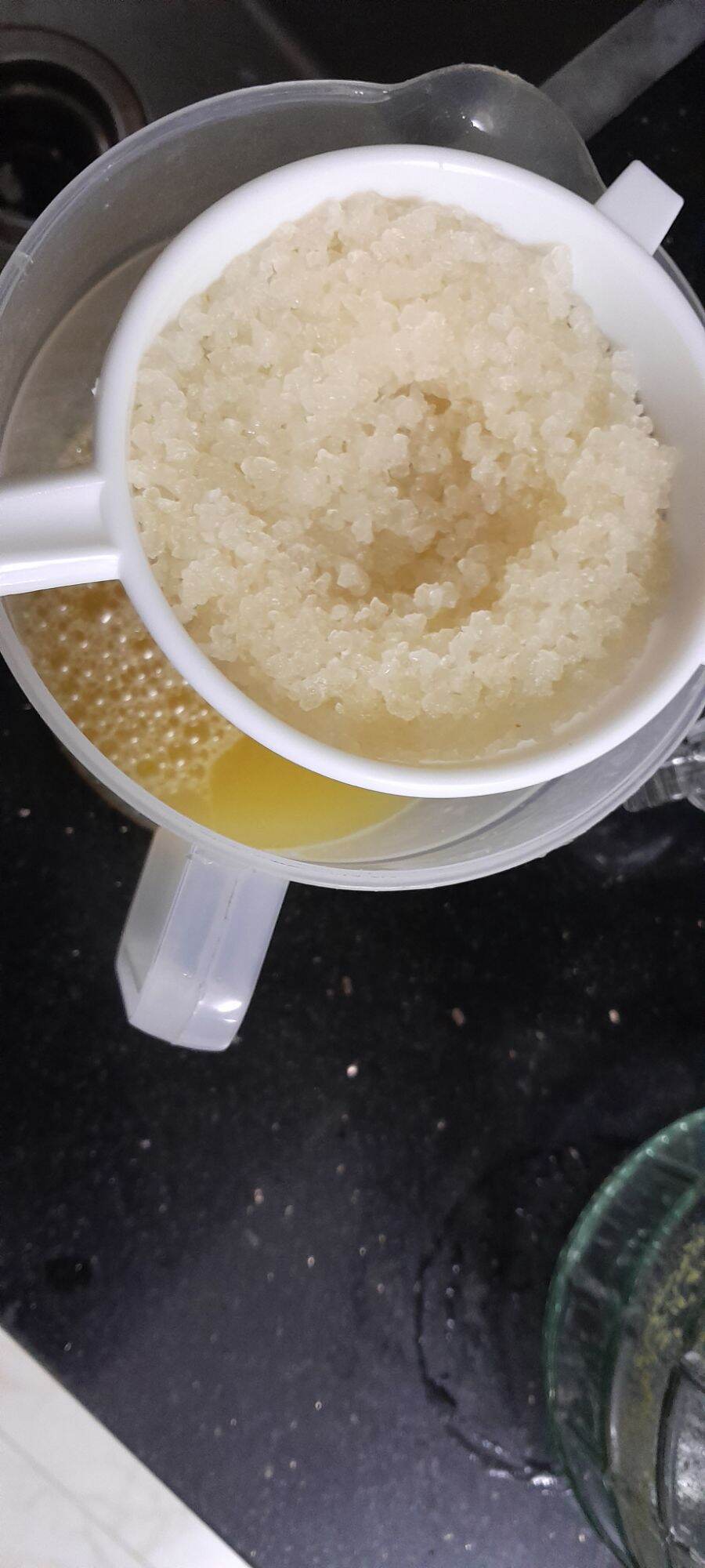 Water kefir 25g ( nấm nước mía ,nước dừa)