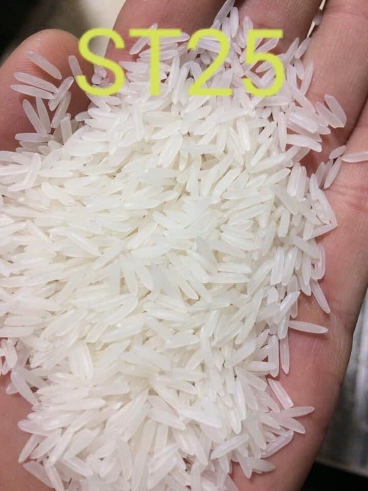 GẠO ST25 ( bịch 10kg )