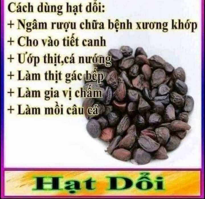Hạt dổi rừng (100g)