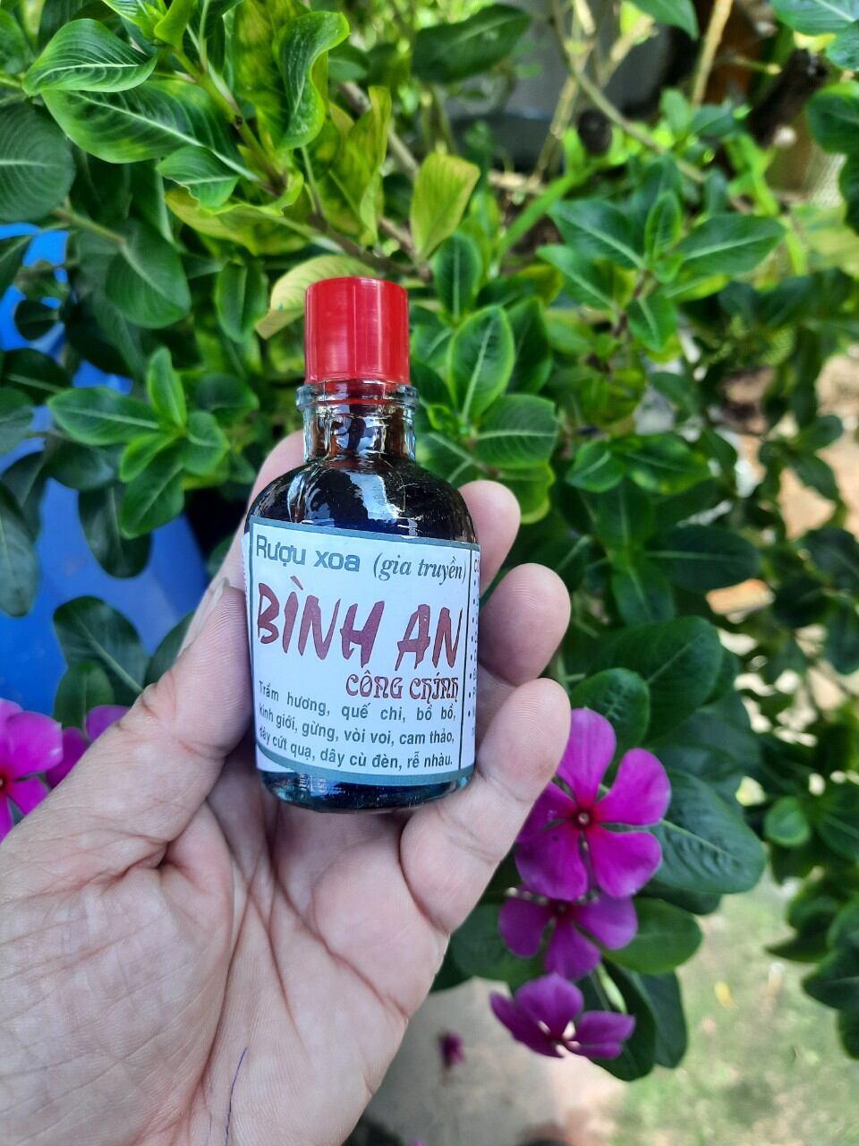 Dầu xoa bóp gia truyền bình an combo 5 chai