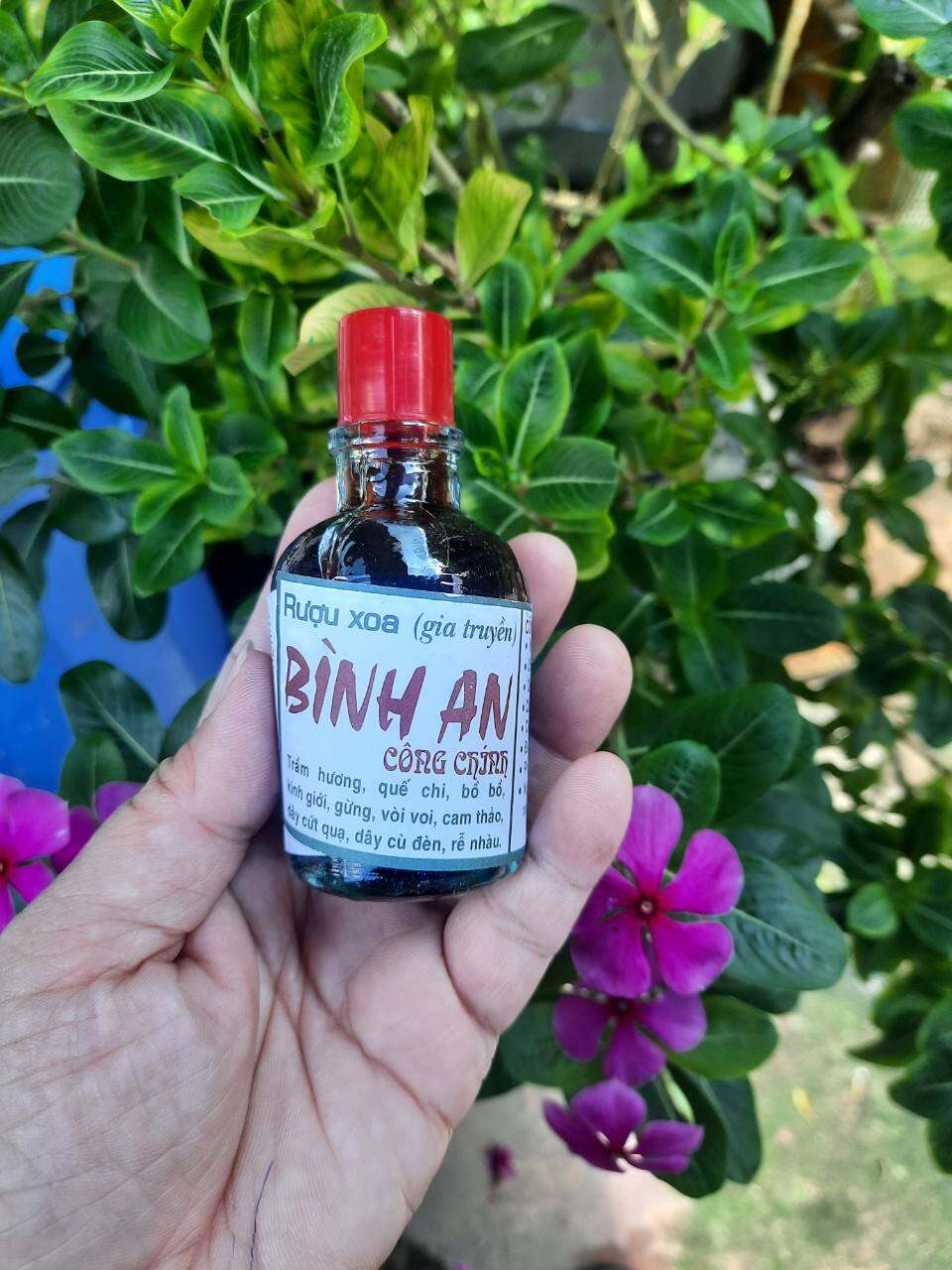 dầu xoa bóp gia truyền bình an combo 5 chai