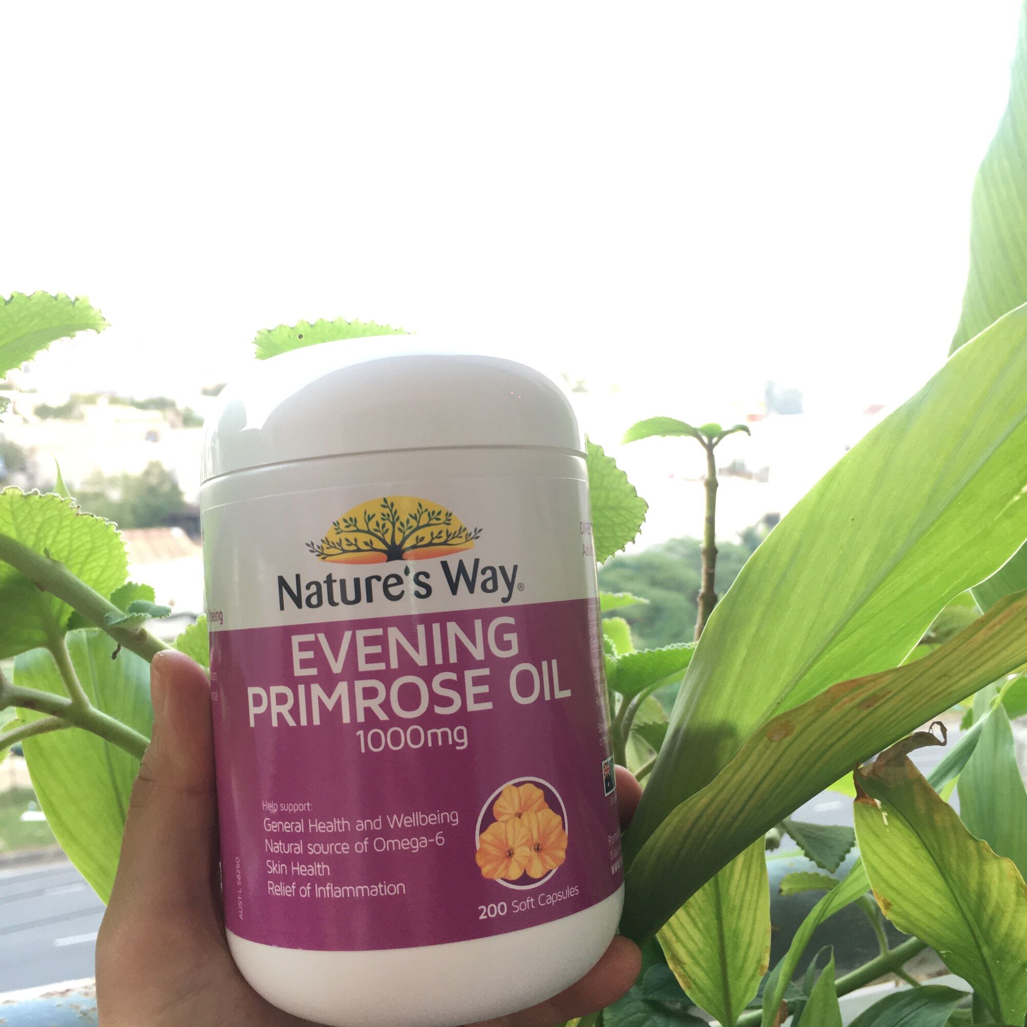 Tinh dầu hoa anh thảo của Nature’s Way 200v