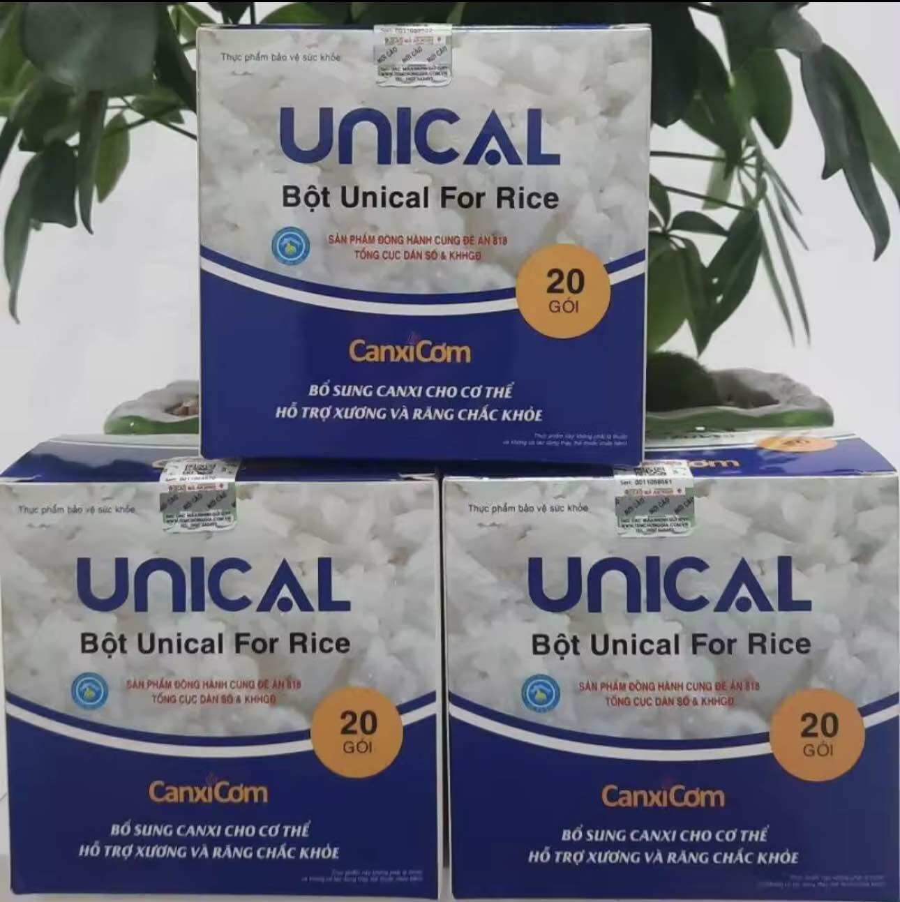 Combo 5 hộp canxi cơm nhật bản chính hãng