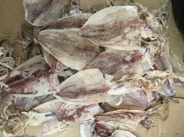 200g khô mực 20_25 con