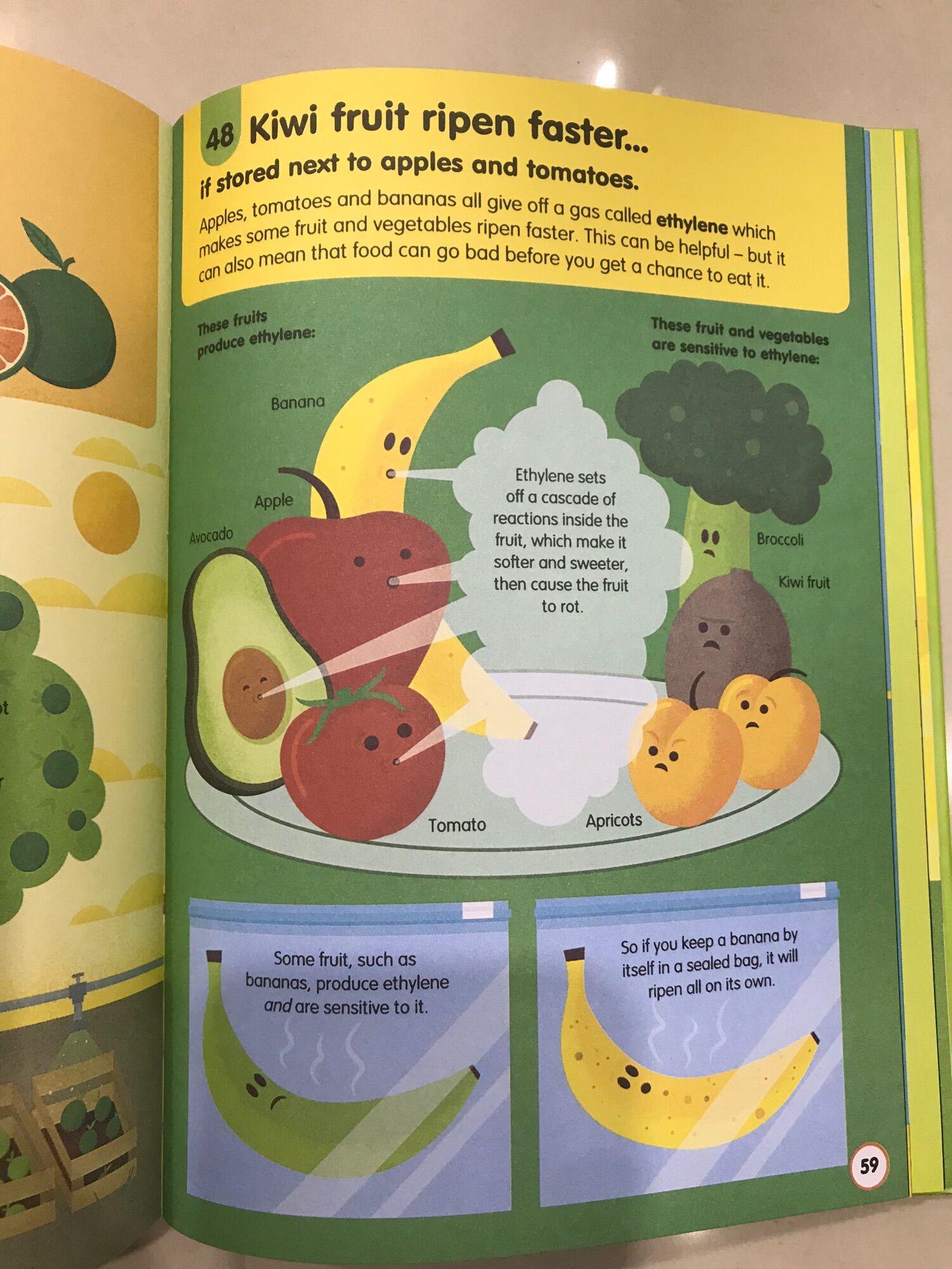100 things to know about Food
