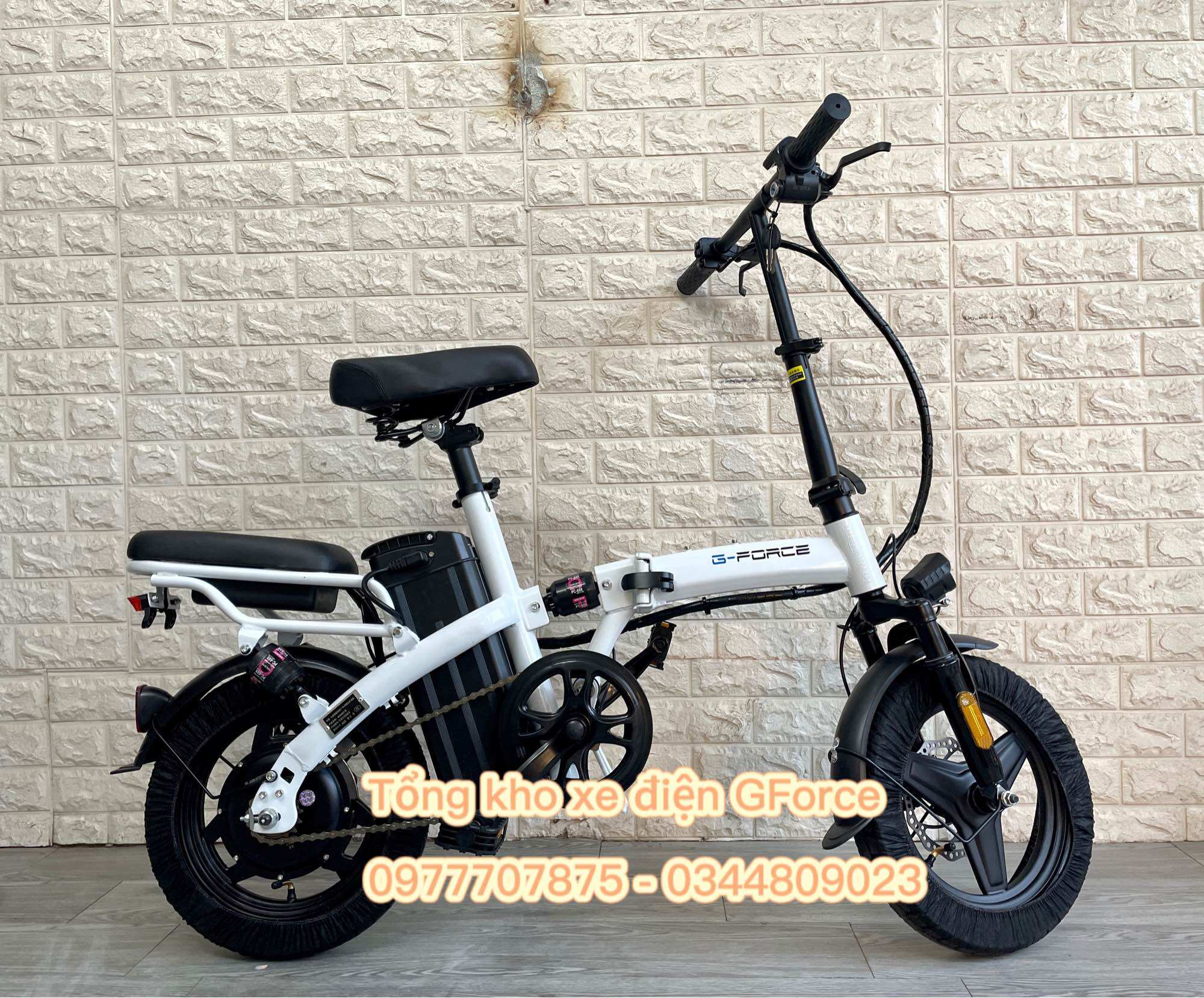 Xe Điện Gấp Gọn G-Force C14 Pro - Ảnh thật