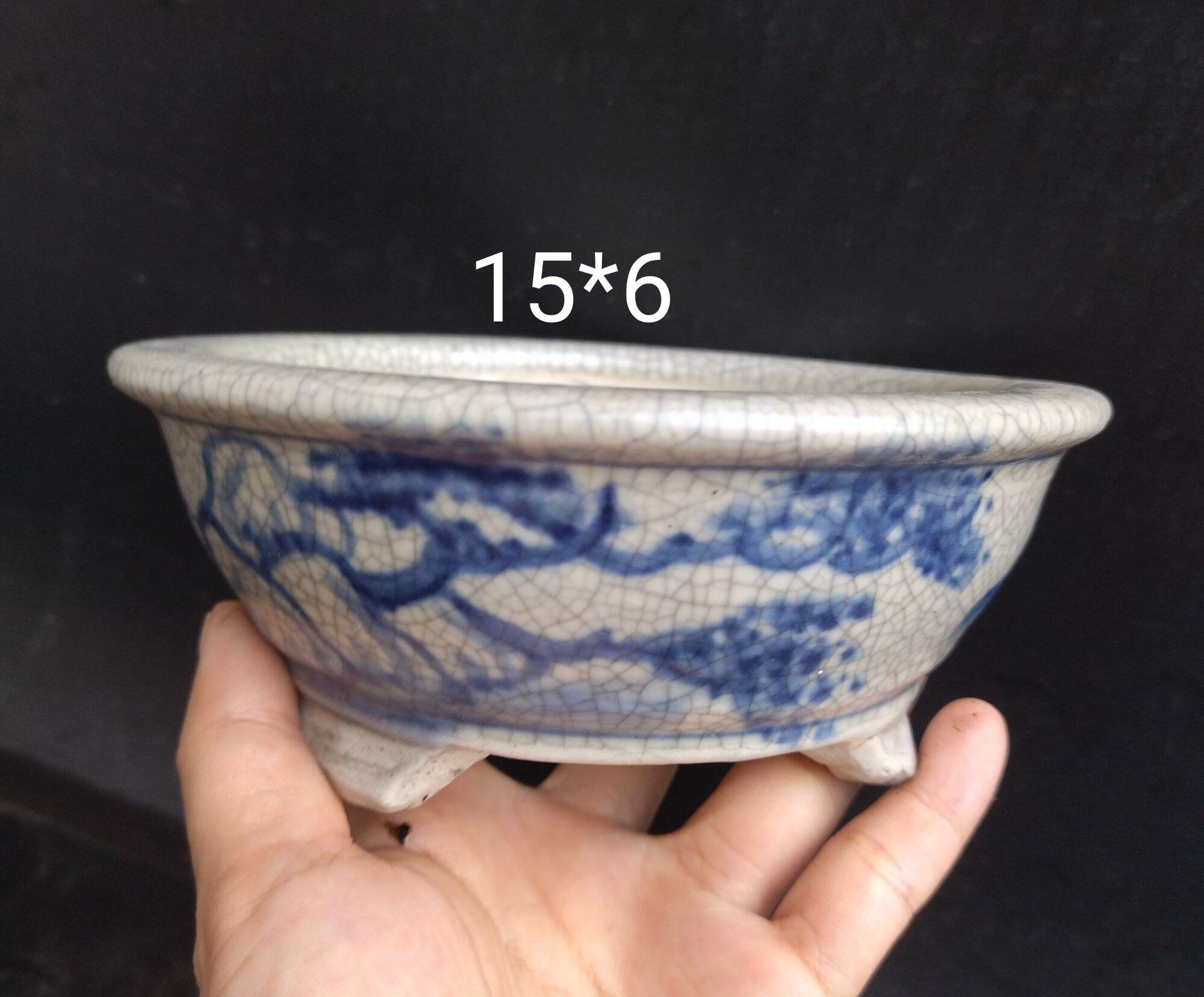 Chậu tròn bonsai, trồng sen đá