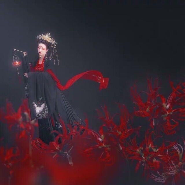 Hoa bỉ ngạn cầm tay chụp hình