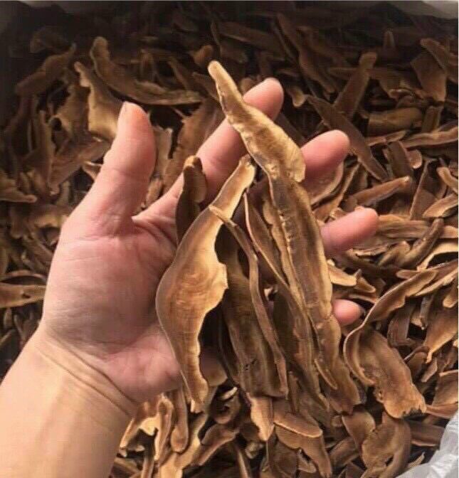 500gram nấm Linh chi rừng Kon Tum