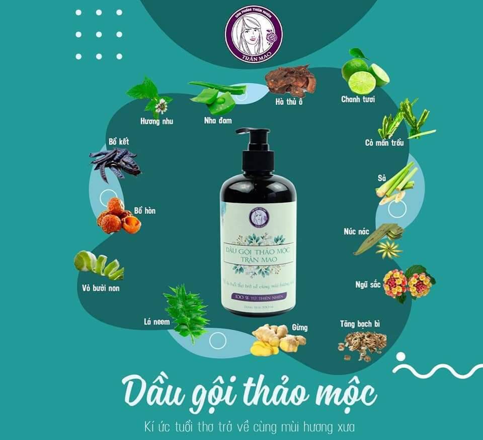 Dầu Gội Thảo Mộc Trần Mao 50ml ( lọ dùng thử)