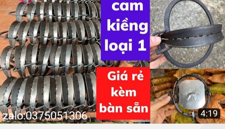 10 chiếc 14cm....10 chiếc 14cm cạm bẫy thú rừng loại 1
