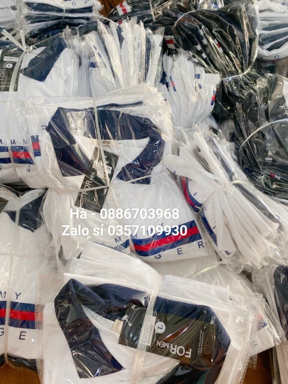 Áo polo tom.my hottrend 2022 kèm ảnh thật