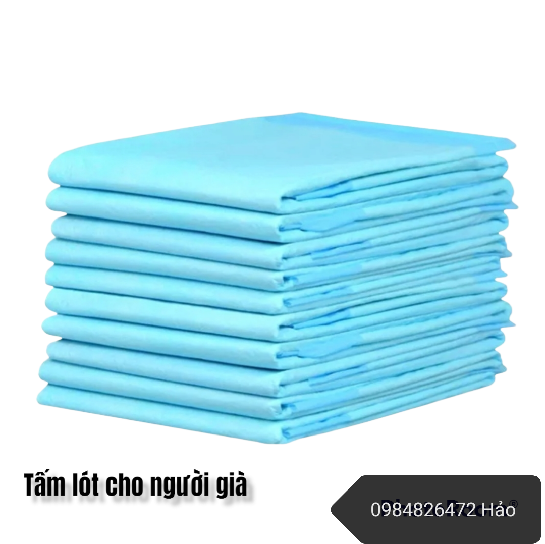 Bộ 2 gói 20 miếng TẤM LÓT Phú Đạt cho người già bệnh nhân phụ nữ sau sinh size XL (42_72cm)