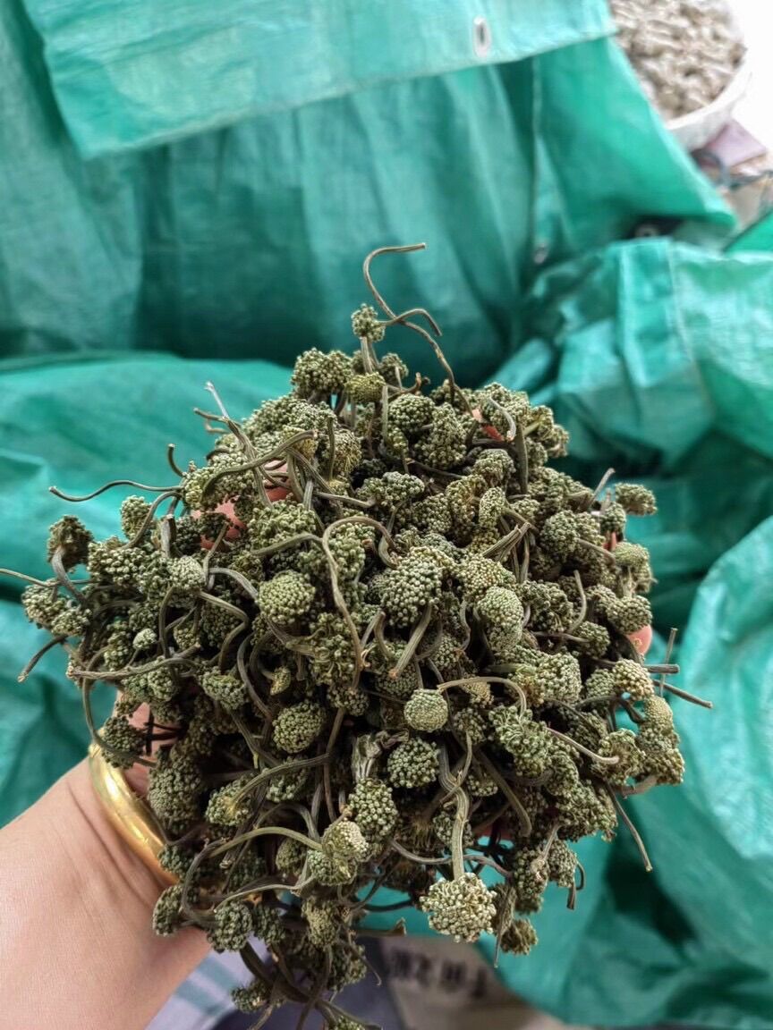 Nụ tam thất sấy khô túi 500g