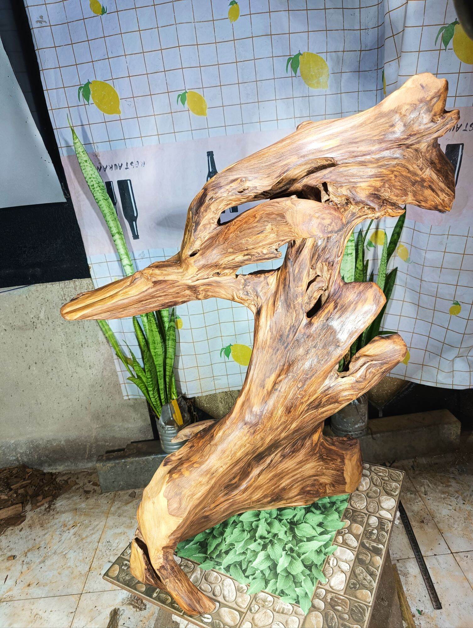 lũa gỗ thơm ngọc am đỏ hà giang