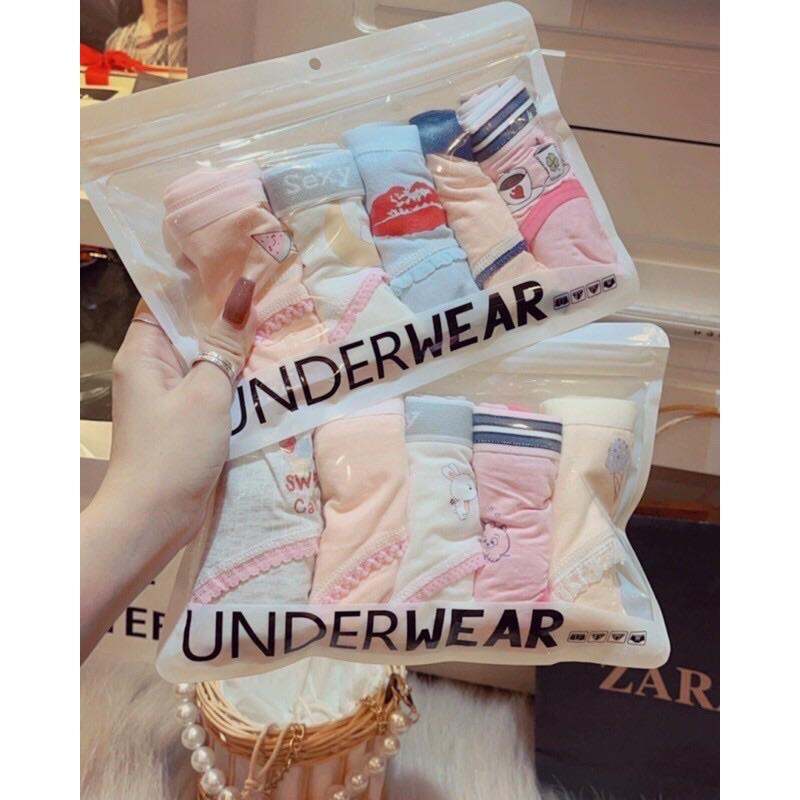 SÉT 5 QUẦN LÓT COTONG CUTE TÚI ZIP