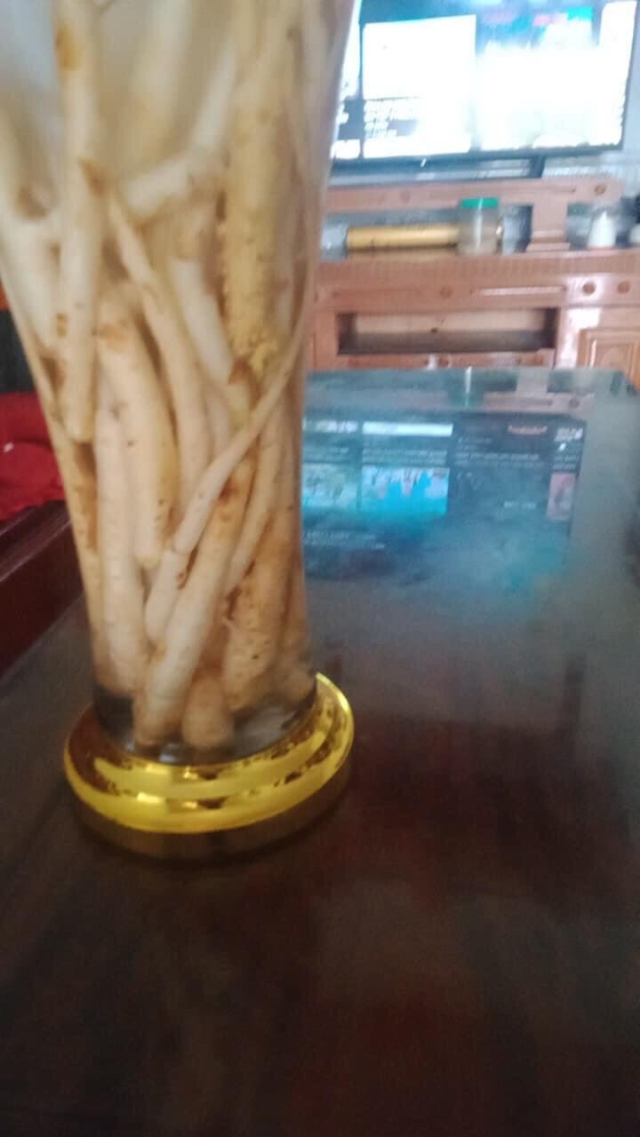 Đẳng sâm tươi hàng chọn 250k/2kg