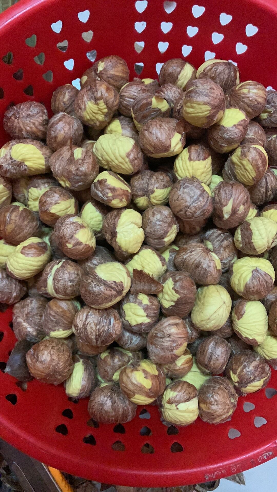 HẠT DẺ TƯƠI BÓC VÕ SẴN [ Túi 500gr hút chân không ] hàng loại 1