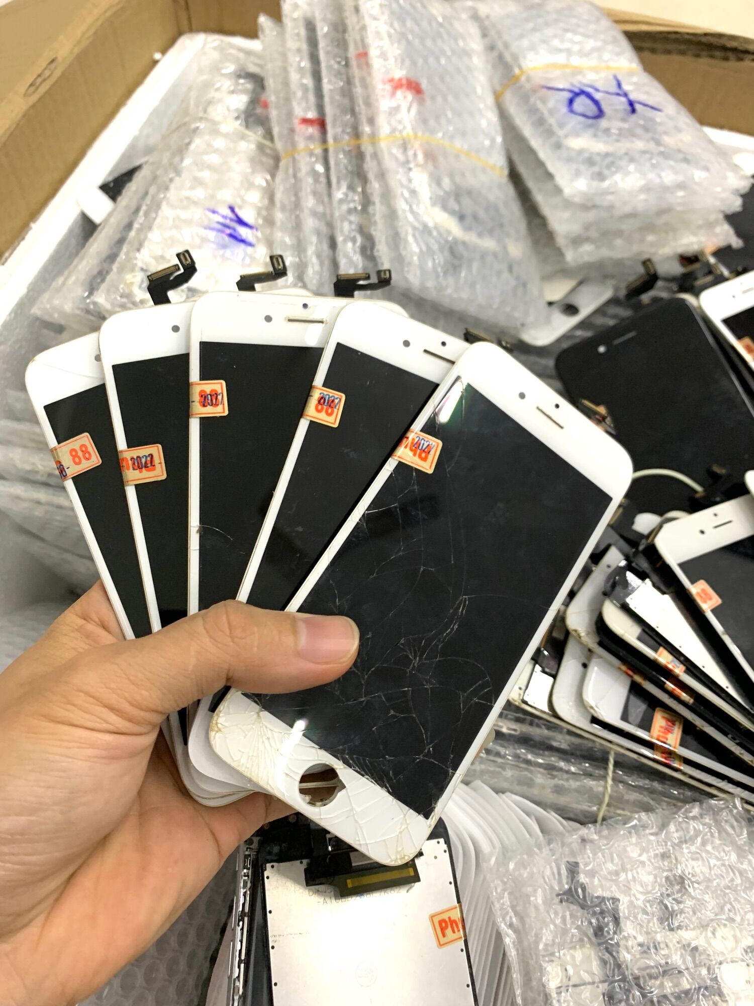 Màn hình Ip 6/6plus zin theo máy,chính hãng 100%