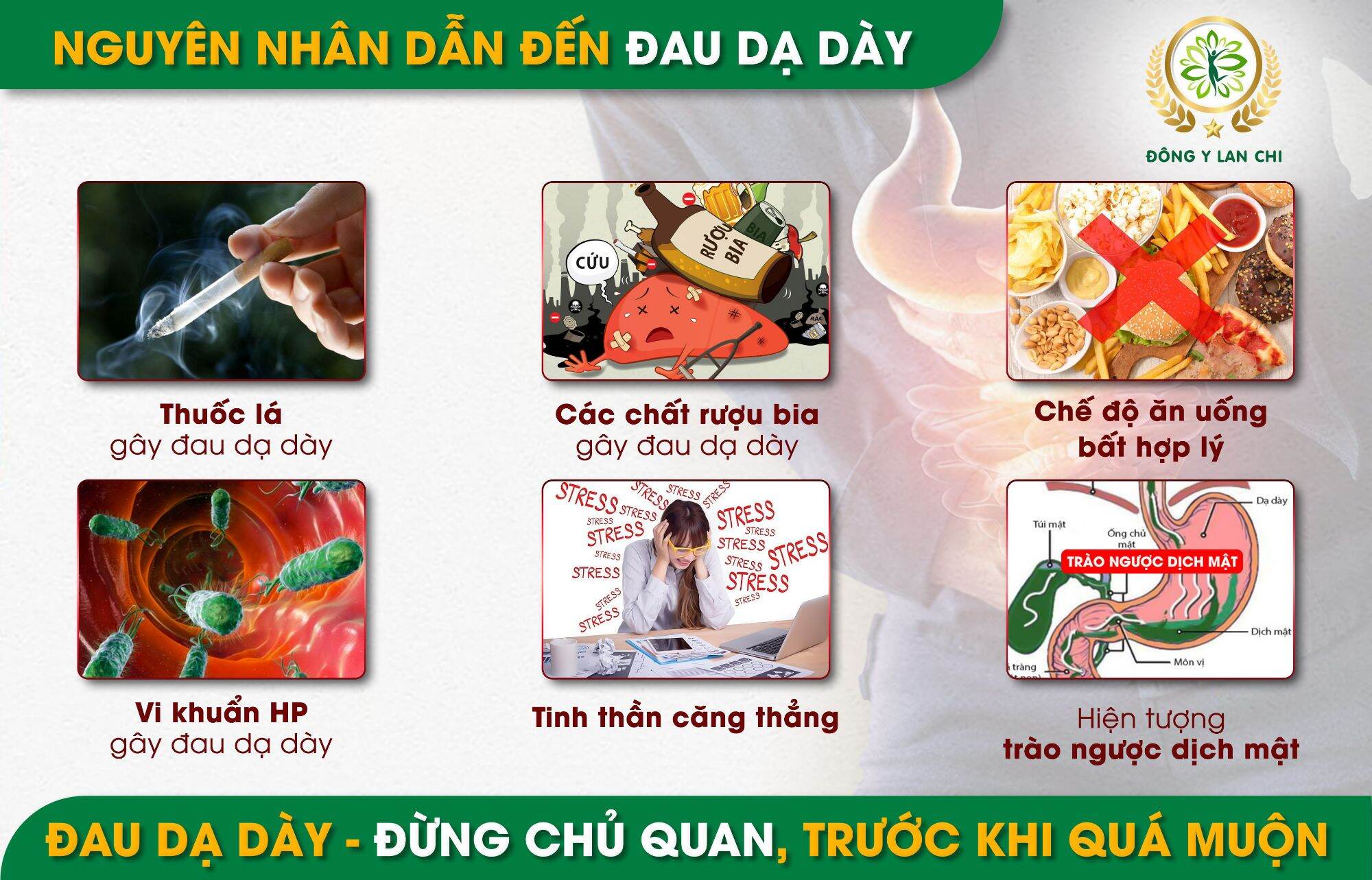 dạ dày đan