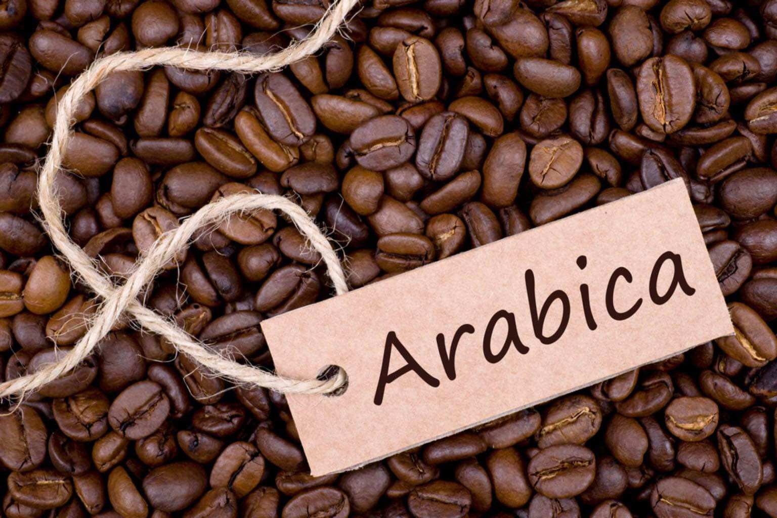 1Kg CAFE ARABICA RANG MỘC