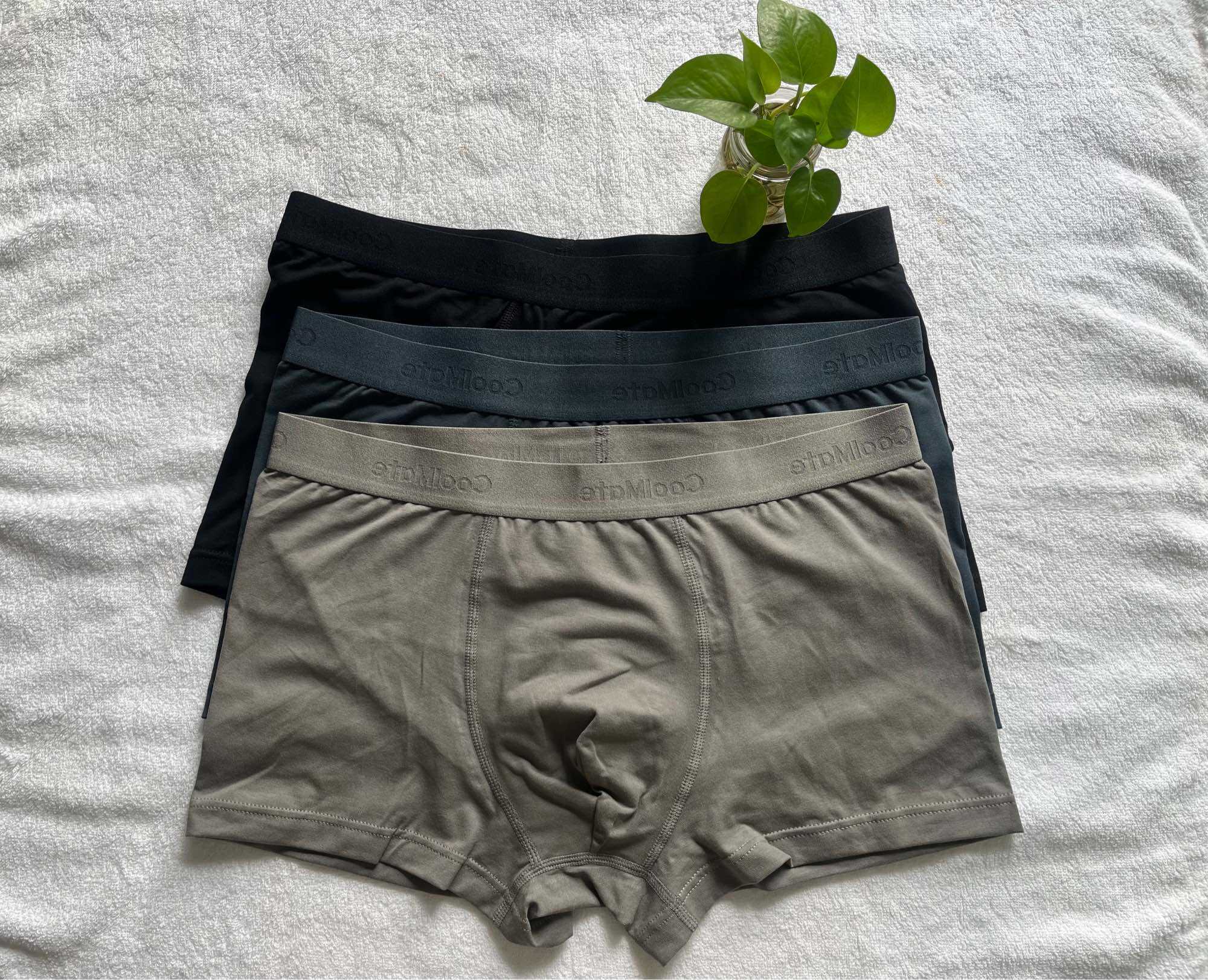 Quần lót nam Cool mate -100% cotton
