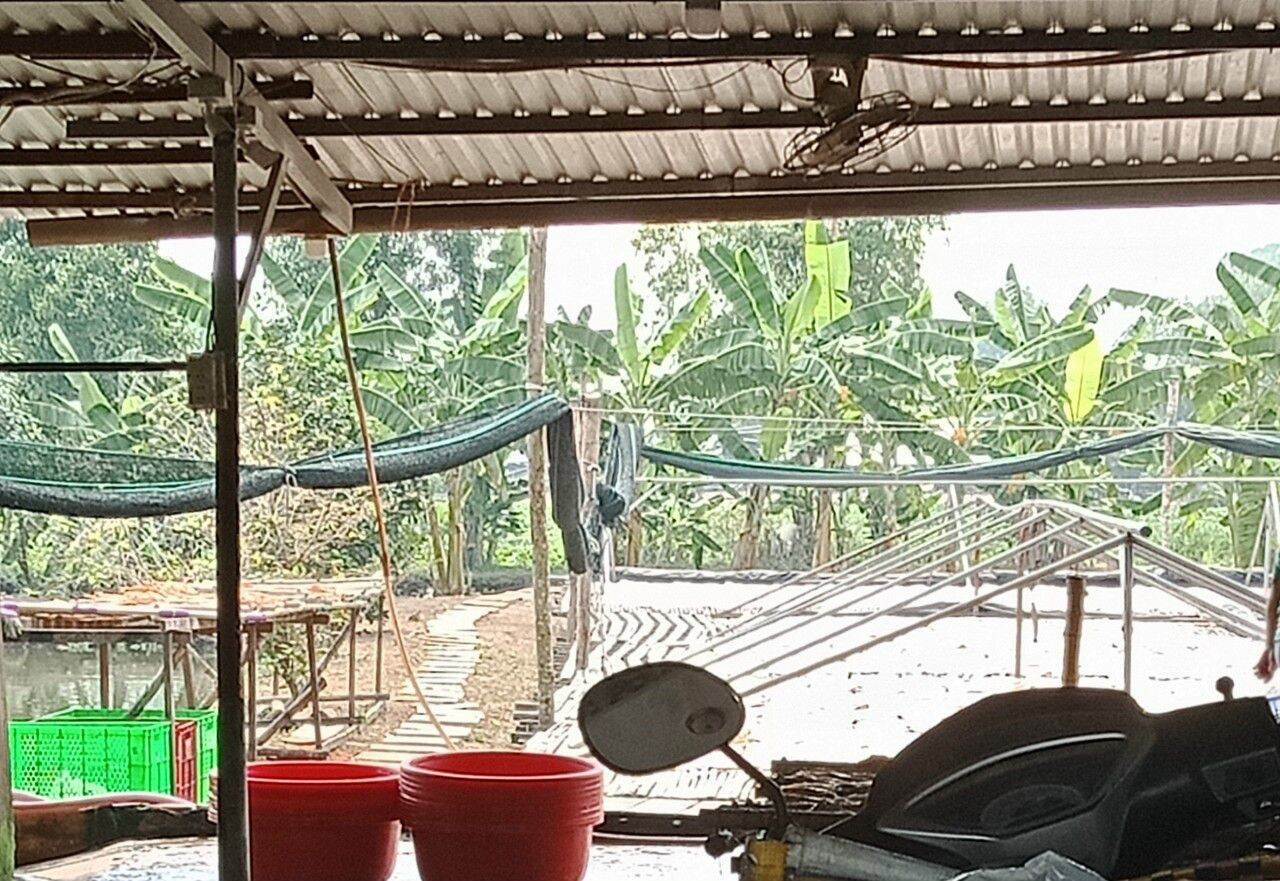 Khô Tươi Ngon 1 Nắng Nhà Làm ( Cá Dứa, Cá Đổng )