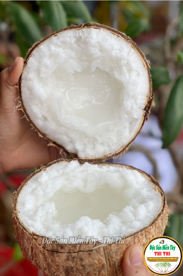 Dừa Sáp Cầu Kè - Đặc Sản Trà Vinh (Nhiều Loại)