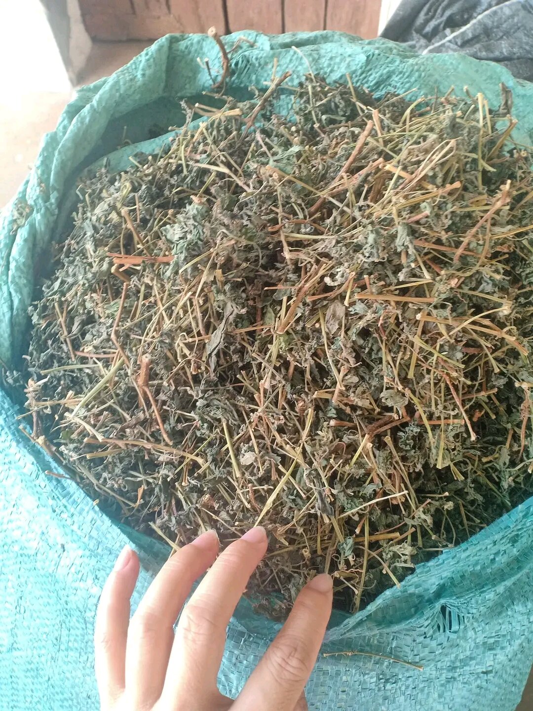 Cây bọ mắm khô 1kg hàng sạch.chuẩn như hình