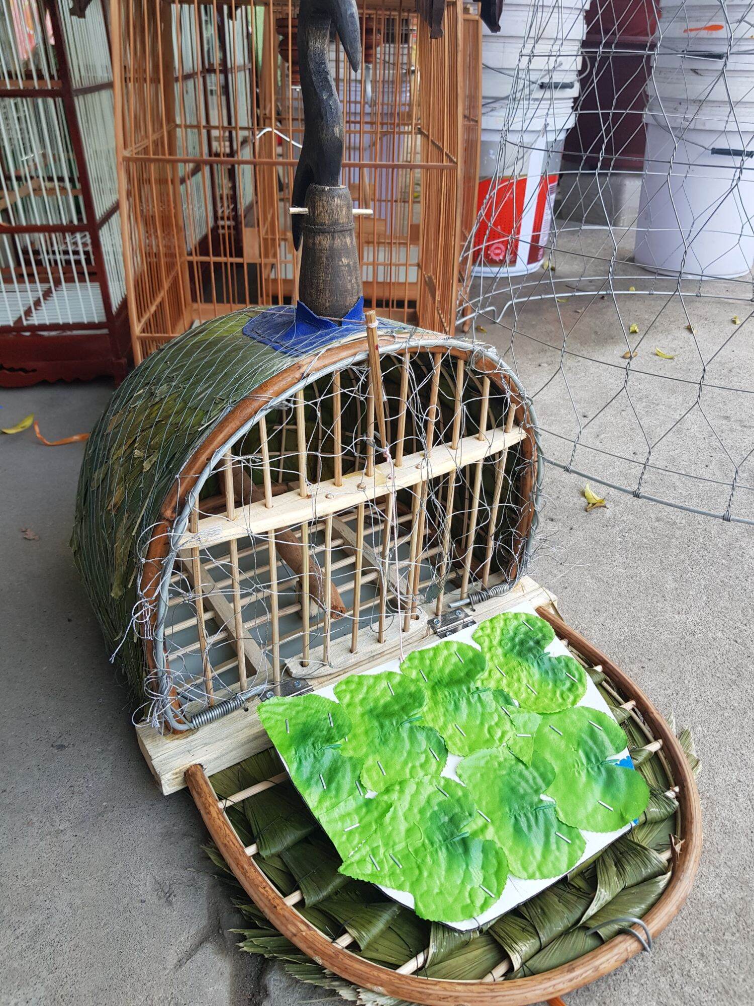 Lồng bẫy chim cu gáy hàng đẹp