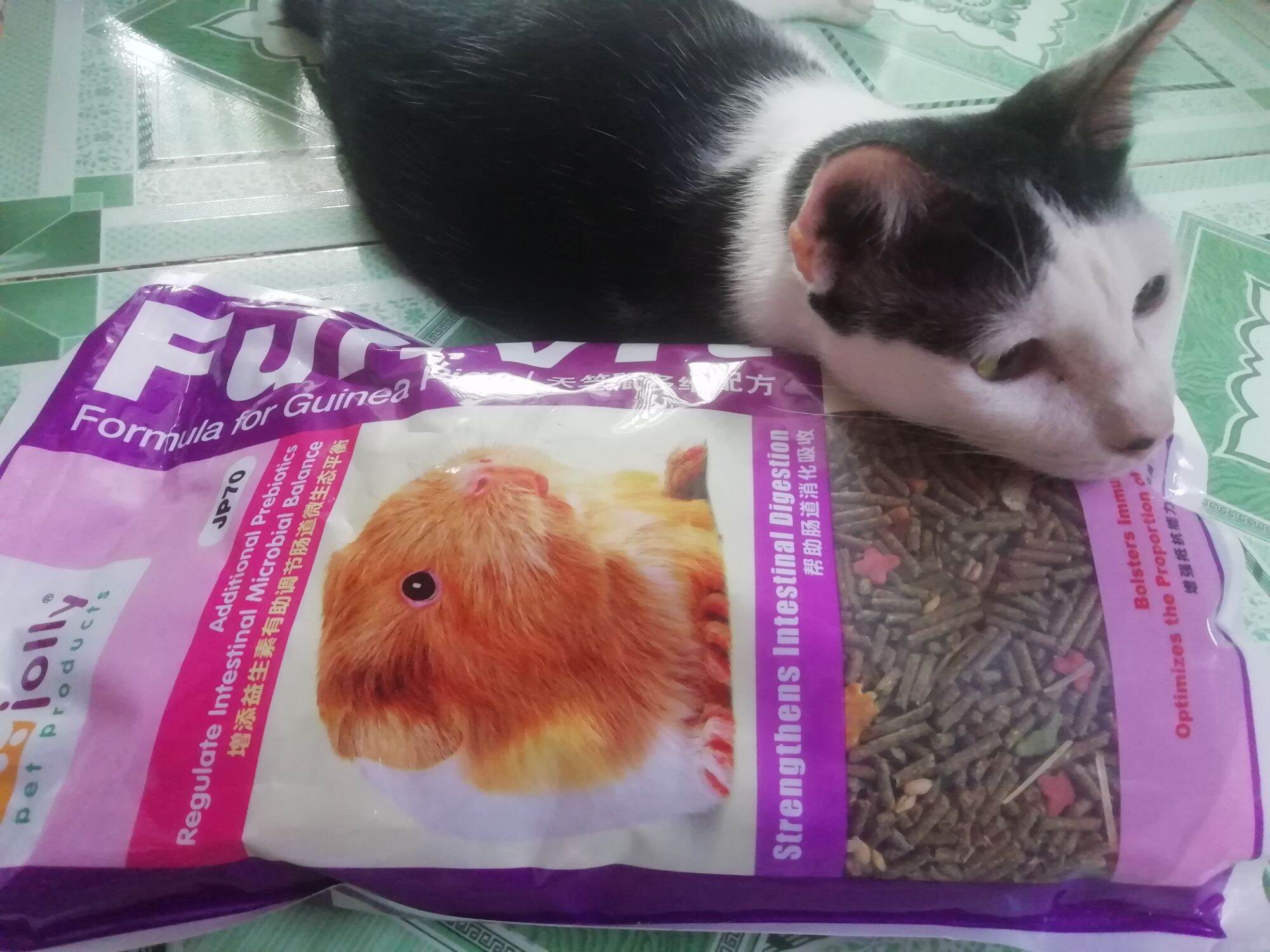 Thức ăn fullvit bọ 2.5kg