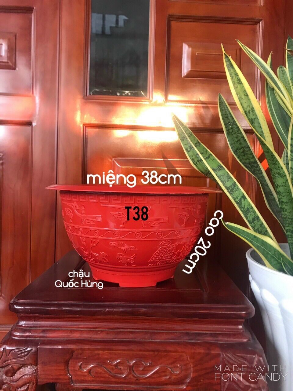 Combo 10 chậu t38 trồng cây