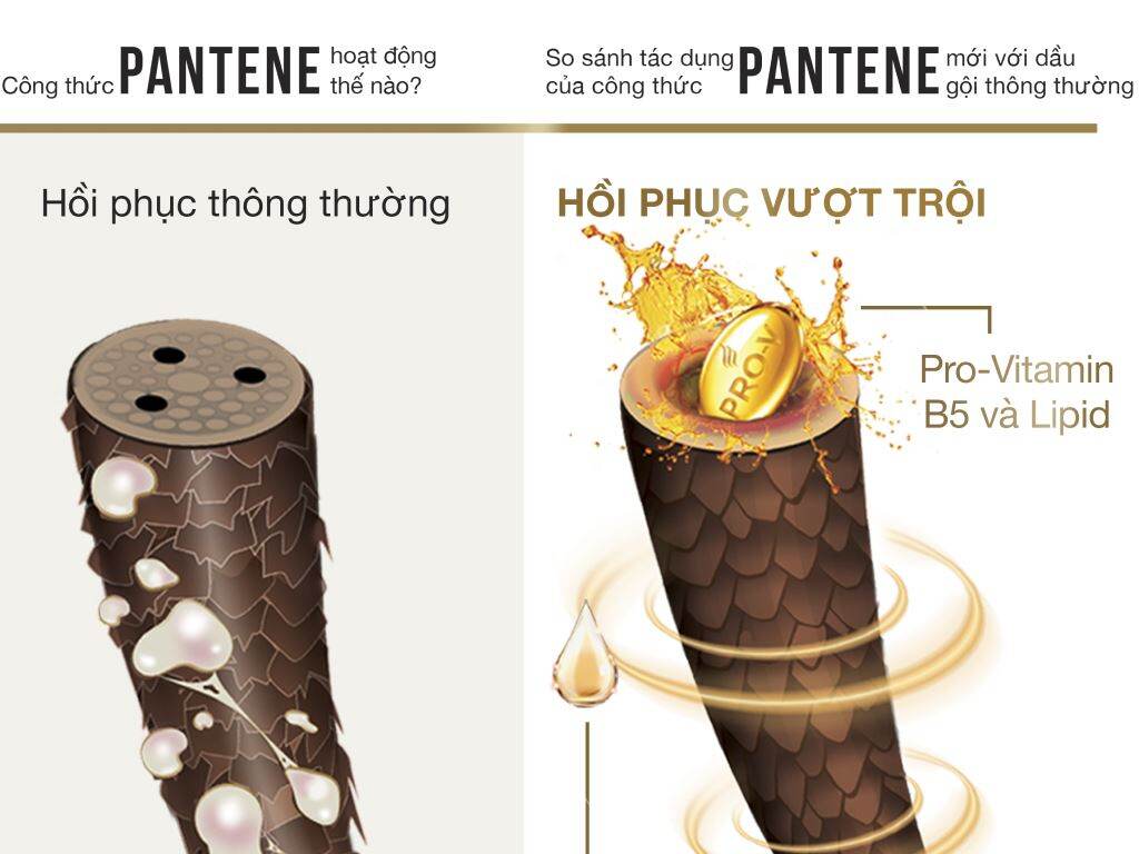 Combo Pantene ngăn rụng tóc + xả 300ml