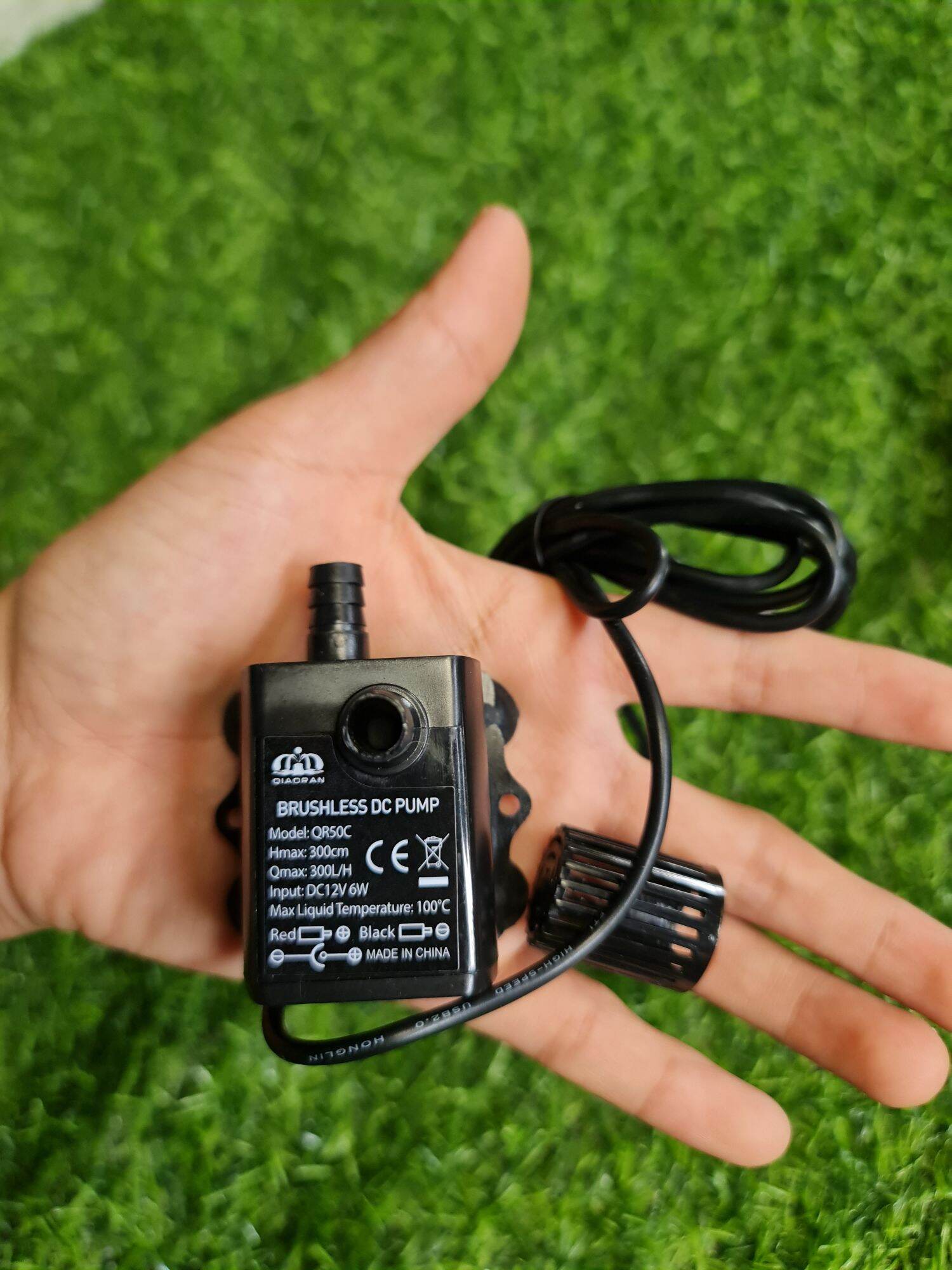 Combo bẫy chim héc xoan cao cấp