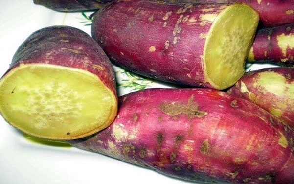1kg khoai lang củ Lệ cần Gialai